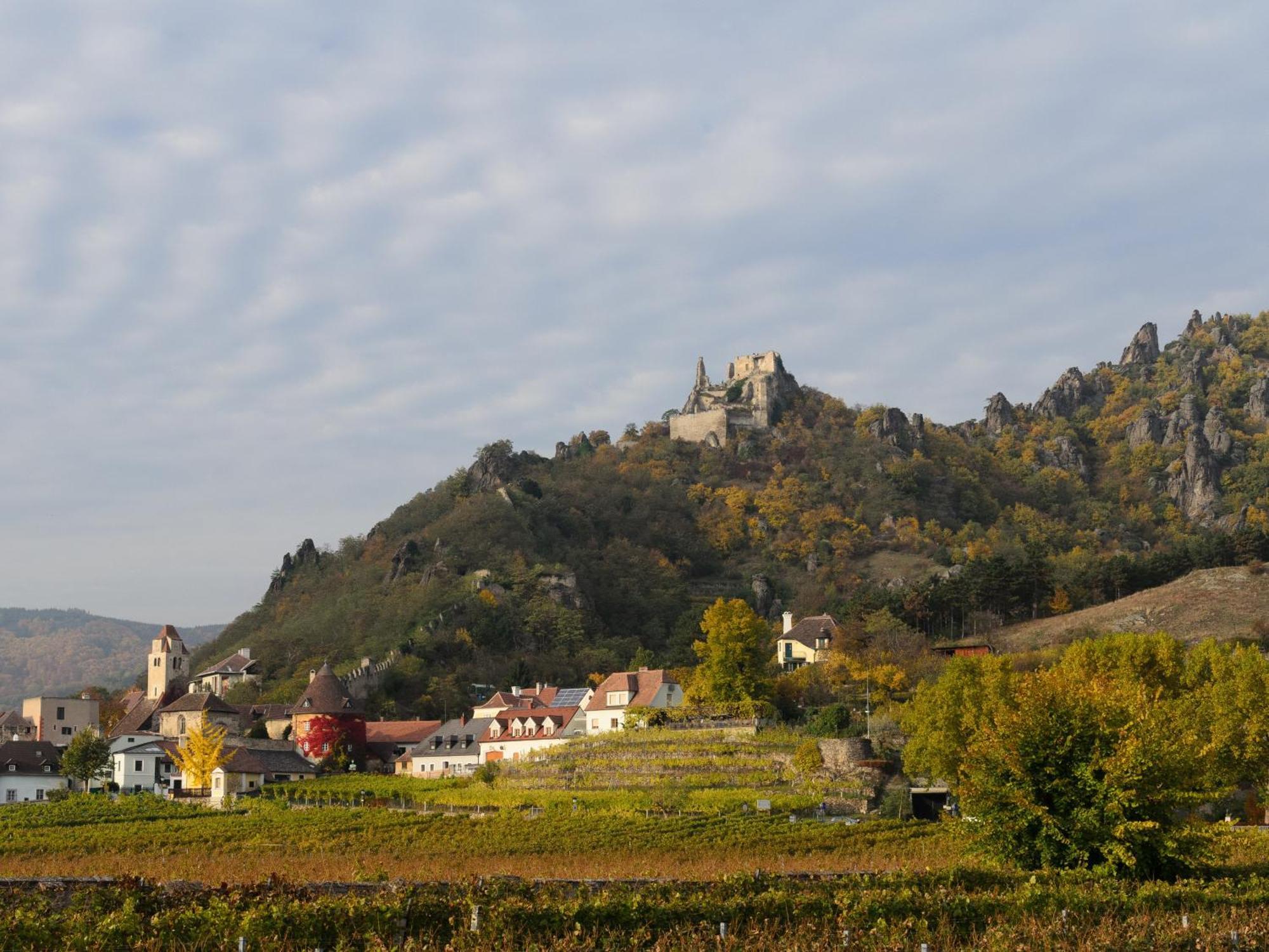 Ferienwohnung Weinbergblick Rohrendorf bei Krems Bagian luar foto