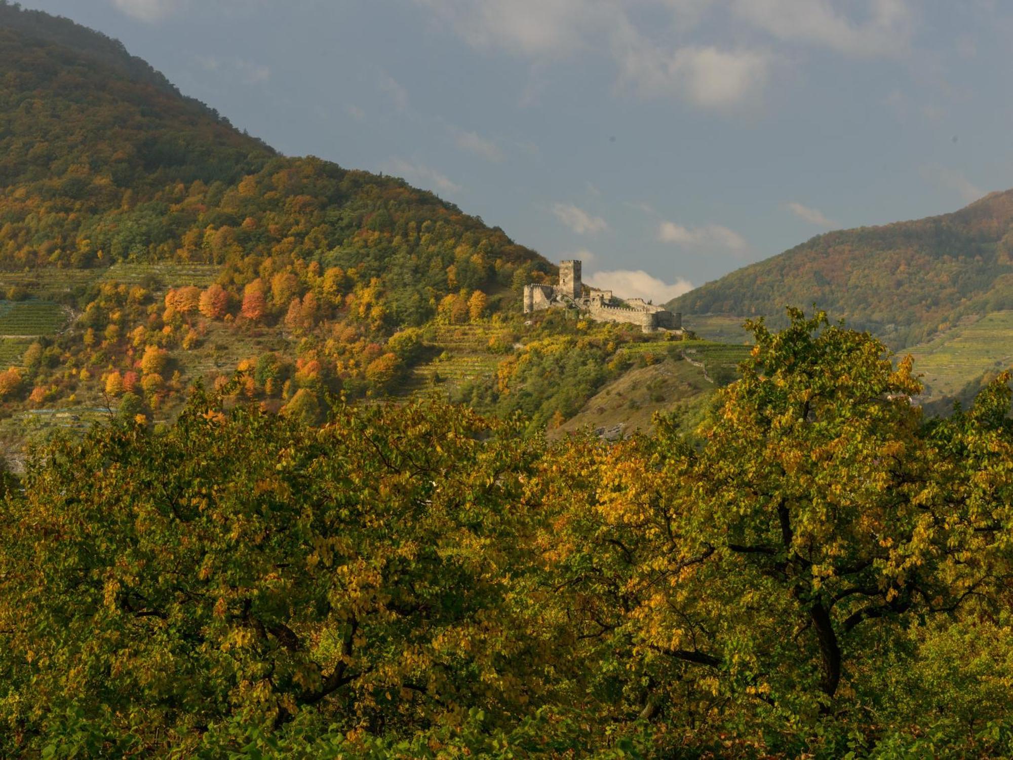 Ferienwohnung Weinbergblick Rohrendorf bei Krems Bagian luar foto