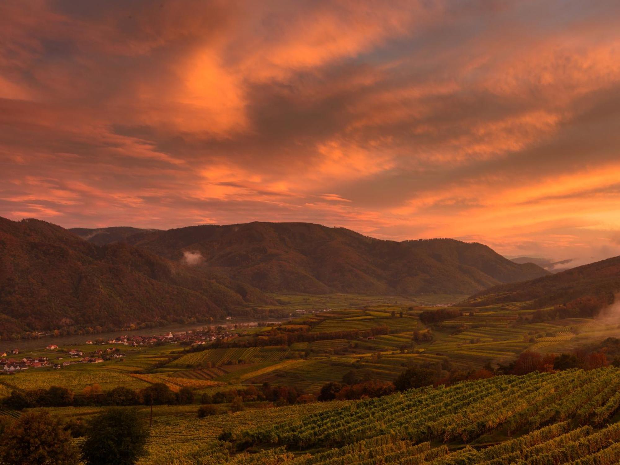 Ferienwohnung Weinbergblick Rohrendorf bei Krems Bagian luar foto