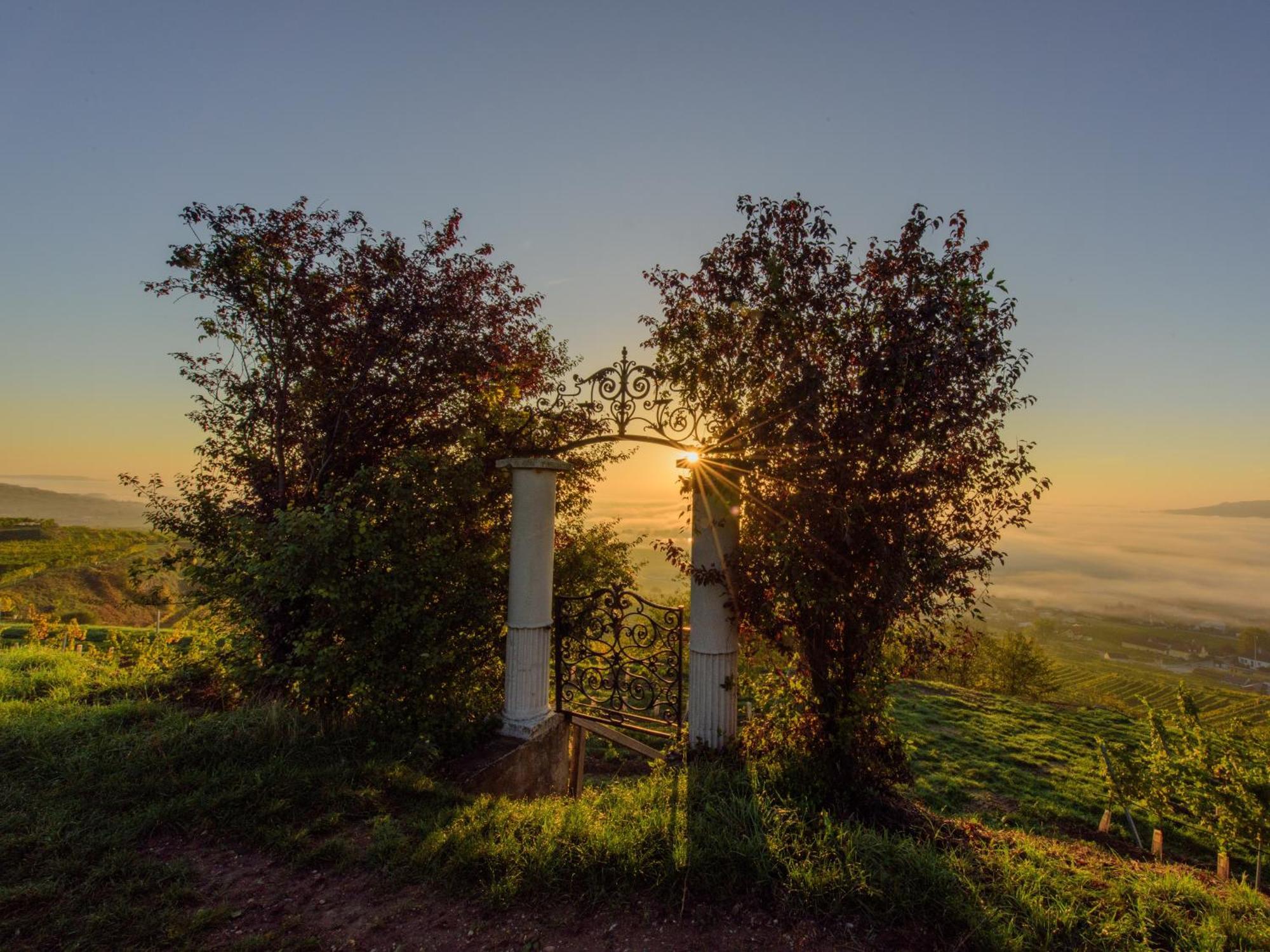 Ferienwohnung Weinbergblick Rohrendorf bei Krems Bagian luar foto